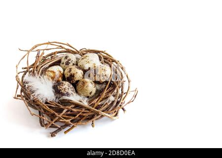 Uova di quaglia con piume in nido su fondo bianco. Concetto di Pasqua, spazio di copia per il testo, messa a fuoco selettiva Foto Stock