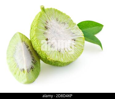 Mela di Adamo (maclura o arancio di osage) isolata su sfondo bianco. Foto Stock