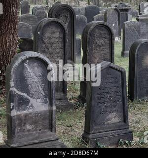 Raunschweig, Germania, 27 agosto 2020: Lapidi nel cimitero storico ebraico chiuso Foto Stock