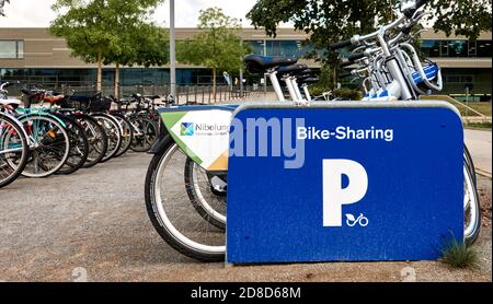 Raunschweig, Germania, 27 agosto 2020: Noleggio biciclette presso una stazione di noleggio, per la protezione della terra contro i cambiamenti climatici e per gli sportivi Foto Stock