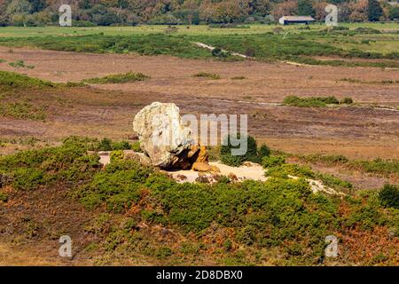 Agglestone Rock su Godlingston Heath vicino a Studland, Dorset, Inghilterra Foto Stock