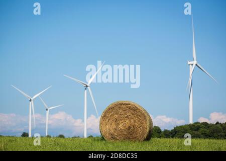 Una turbina eolica in un campo agricolo sull'isola di Amherst vicino a Stella, Ontario, lunedì 3 agosto 2020. Foto Stock