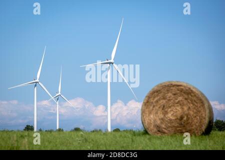 Una turbina eolica in un campo agricolo sull'isola di Amherst vicino a Stella, Ontario, lunedì 3 agosto 2020. Foto Stock