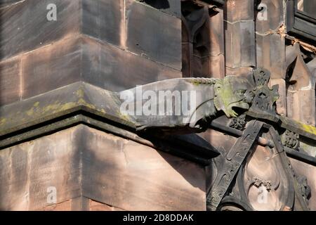 Un gargoyle all'esterno della Cattedrale di Chester, Cheshire, UK. Foto Stock