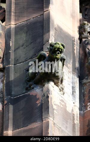 Un gargoyle all'esterno della Cattedrale di Chester, Cheshire, UK. Foto Stock