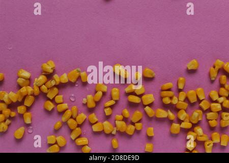 cibo sfondo giallo brillante zucchero grano mais ai bordi della parte superiore destra o dal basso verso l'alto su uno sfondo rosso rosa fucsia, copia spazio Foto Stock