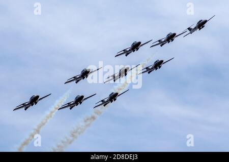 Gli Snowbirds si esibiscono su Kingston, Ontario, venerdì 8 maggio 2020. Foto Stock