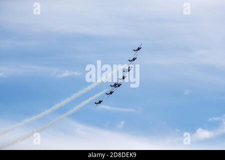 Gli Snowbirds si esibiscono su Kingston, Ontario, venerdì 8 maggio 2020. Foto Stock