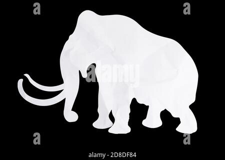 silhouette di un elefante da carta da imballaggio isolato su bianco sfondo Foto Stock