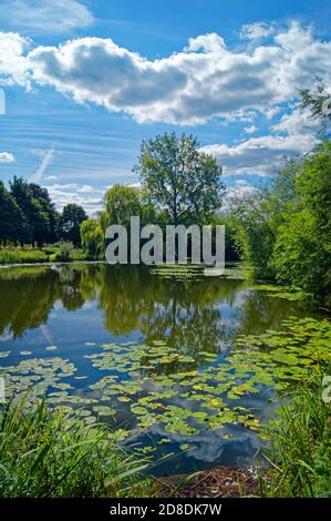 Regno Unito, South Yorkshire, Barnsley, Goldthorpe, Bolton Brick Ponds Foto Stock