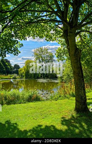 Regno Unito, South Yorkshire, Barnsley, Goldthorpe, Bolton Brick Ponds Foto Stock