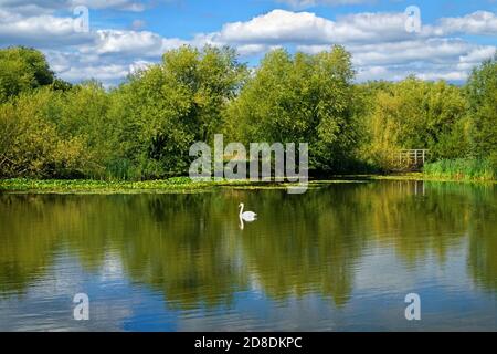 Regno Unito, South Yorkshire, Barnsley, Goldthorpe, Bolton Brick Ponds Foto Stock