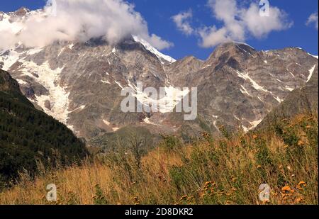 Vista del Monte Rosa con alberi, pini, fiori colorati e nuvole bianche nel cielo Foto Stock