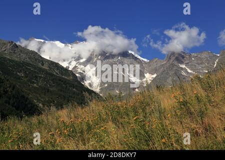 Vista sul Monte Rosa, con alberi, fiori gialli e nuvole bianche nel cielo. Foto Stock