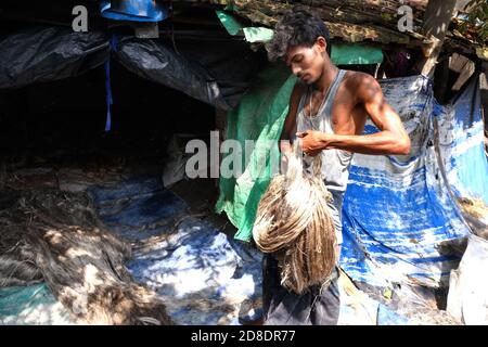 Le 50-60 famiglie di un piccolo villaggio musulmano dominato, Pabitat, nel distretto di Howrah, a 40 km dalla città di Howrah sotto la stazione di polizia di Domjur, Stanno lavorando per fare i capelli per la Dea Durga in tempo per il festival di avvicinamento per un lungo time.They preparare i capelli da balle di iuta e dipingere i trefoli in nero color.The capelli saranno forniti a mozzi modellatore di argilla nella città e diverse parti dello stato compreso Kumartuli.Anisur rahaman, uno degli abitanti del villaggio ha detto, il villaggio è già frequentato da agenti provenienti da mozzi modellatori di argilla per la fornitura di capelli, che è principalmente utilizzato per 'abeki protima' Foto Stock