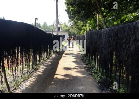 Le 50-60 famiglie di un piccolo villaggio musulmano dominato, Pabitat, nel distretto di Howrah, a 40 km dalla città di Howrah sotto la stazione di polizia di Domjur, Stanno lavorando per fare i capelli per la Dea Durga in tempo per il festival di avvicinamento per un lungo time.They preparare i capelli da balle di iuta e dipingere i trefoli in nero color.The capelli saranno forniti a mozzi modellatore di argilla nella città e diverse parti dello stato compreso Kumartuli.Anisur rahaman, uno degli abitanti del villaggio ha detto, il villaggio è già frequentato da agenti provenienti da mozzi modellatori di argilla per la fornitura di capelli, che è principalmente utilizzato per 'abeki protima' Foto Stock