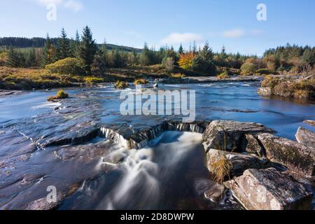 Piscine Otter in autunno, fiume Dee, Galloway Forest, Dumfries & Galloway, Scozia Foto Stock