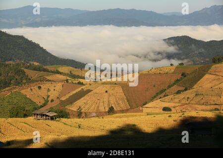 La bellezza della natura al villaggio di Ban Pa Bong Piang, il distretto di Mae Chaem, la provincia di Chiang mai, Tailandia Foto Stock