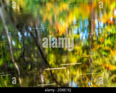 Riflessioni astratte autunnali nel fiume Nidd a Bilton Bank Boschi nella gola del Nidd vicino a Bilton Harrogate North Yorkshire Inghilterra Foto Stock