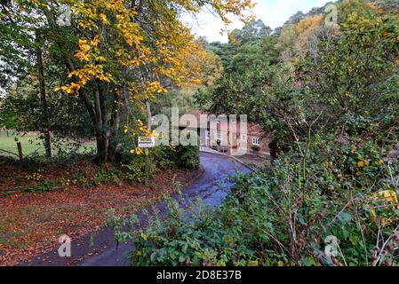 Un cottage di campagna remoto in un vicolo isolato a Friday Street vicino a Wotton, Surrey Hills Inghilterra UK Foto Stock