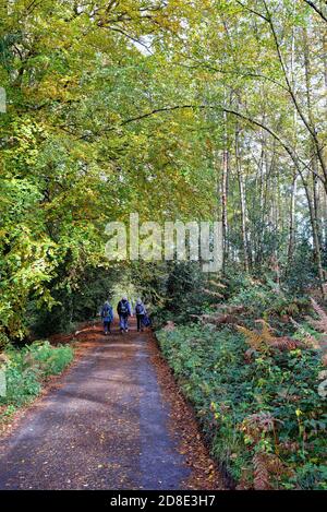 Tre escursionisti anziani, un uomo e due donne, in una corsia di campagna vicino a Friday Street nelle Surrey Hills in un giorno soleggiato autunnale, vicino a Wotton England UK Foto Stock