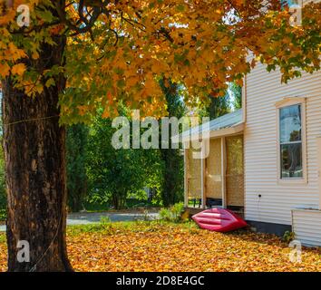 stagioni mutevoli: cortile anteriore coperto di foglie d'acero dorato con un kayak rosso Foto Stock