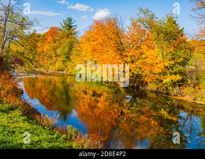 alberi in bella caduta colori riflessi in tranquillo fiume ruscello Foto Stock