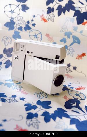 Lomography Vintage Instant Film camera su uno sfondo decorato con fiori e foglie blu e pesci rossi giapponesi Foto Stock