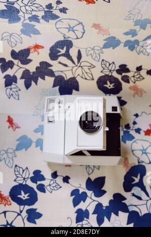 Lomography Vintage Instant Film camera su uno sfondo decorato con fiori e foglie blu e pesci rossi giapponesi Foto Stock