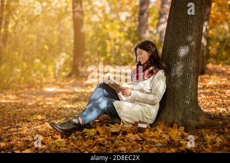 Giovane donna romantica seduta sotto l'albero e leggendo interessante libro al parco autunnale, spazio libero Foto Stock