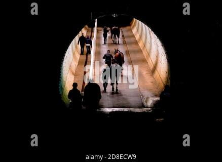 Una visione generale come i corridori sono condotti di nuovo alle scuderie attraverso un tunnel dopo aver gareggiare in una corsa al Chelmsford City Racecourse. Foto Stock