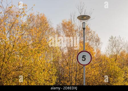 Cartello stradale vicino a una lanterna sullo sfondo di un autunno giallo foresta cerchio rosso velocità 5, prato autunno, erba verde luce solare chiaro asfalto strada in Foto Stock