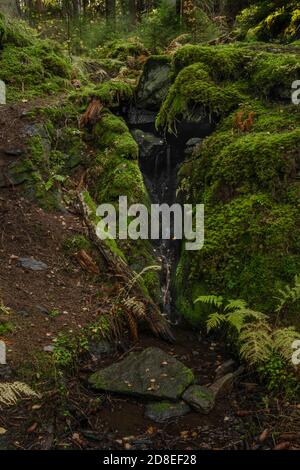 Piccola cascata vicino al torrente Utersky in una foresta profonda in autunno giorno di colore Foto Stock