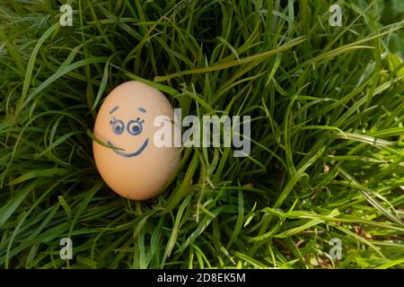 uovo di pollo beige con sorriso e occhi su uno sfondo di erba verde succosa fresca. luminoso concetto di foto soleggiata di prodotti naturali eco-agricoli per la promozione locale allevamento di pollame Foto Stock