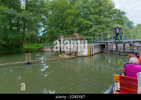 Tour in barca di Punt attraverso la foresta di Spree entrando in una serratura, Oberspreewald, Brandeburgo, Germania orientale, Europa Foto Stock