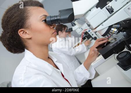 giovane donna lavora in laboratorio microbiologico con microscopio Foto Stock