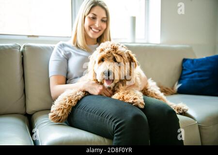 Donna con il suo cane Labradoodle d'oro a casa Foto Stock