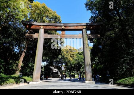 Il cancello grande di Torii (Otorii) di Meiji Jingu (Santuario di Meiji).Shibuya.Tokyo.Giappone Foto Stock