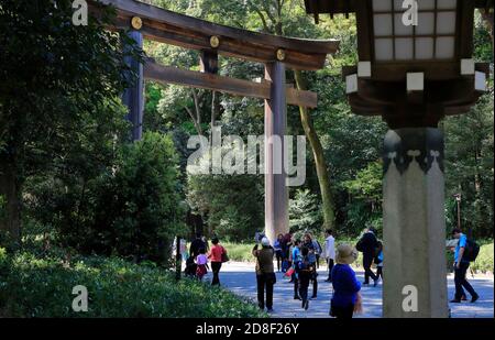 Il cancello grande di Torii (Otorii) di Meiji Jingu (Santuario di Meiji).Shibuya.Tokyo.Giappone Foto Stock