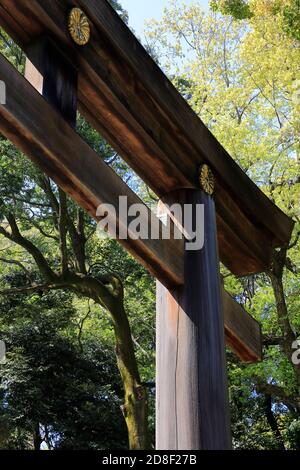 Una vista chiusa della porta dei Big Torii (Otorii) Di Meiji Jingu (Santuario Meiji).Shibuya.Tokyo.Giappone Foto Stock