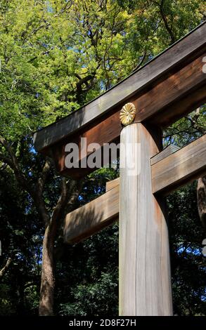 Una vista chiusa della porta dei Big Torii (Otorii) Di Meiji Jingu (Santuario Meiji).Shibuya.Tokyo.Giappone Foto Stock