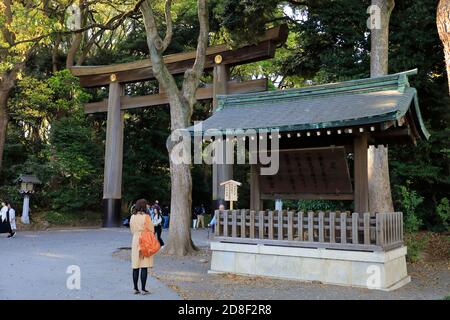 Porta Otorii (porta Torii Grande) di Meiji Jingu (Santuario Meiji).Shibuya.Tokyo.Giappone Foto Stock