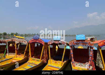 Vista frontale di una fila di lunghe imbarcazioni in legno a fondo piatto, shikaras, sul lago dal a Srinagar, Kashmir Foto Stock