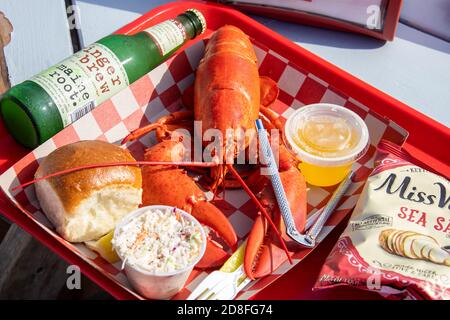 Aragosta intera, McLoons Lobster Shack, South Thomaston, Maine, Stati Uniti Foto Stock