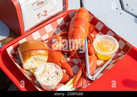 Aragosta intera, McLoons Lobster Shack, South Thomaston, Maine, Stati Uniti Foto Stock