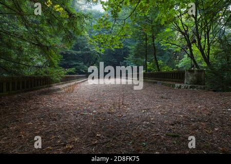 Ponte abbandonato su Jordan Creek sulla Avenue of the Giants e US 101 vicino a Pepperwood lungo la Redwood Highway nella California settentrionale. Foto Stock