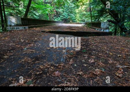 Ponte abbandonato su Jordan Creek sulla Avenue of the Giants e US 101 vicino a Pepperwood lungo la Redwood Highway nella California settentrionale. Chiuso a. Foto Stock