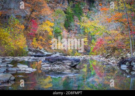 Massi e colore autunnale lungo Falling Water Creek nell'area della foresta nazionale di Ozark dell'Arkansas. Foto Stock