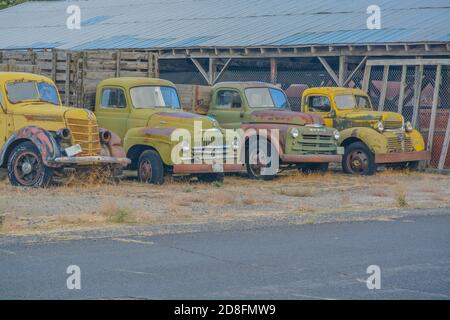 Una collezione di camion antichi pronti per essere restaurati a Sprague, Washington Foto Stock