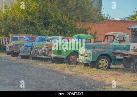 Una collezione di camion antichi pronti per essere restaurati a Sprague, Washington Foto Stock